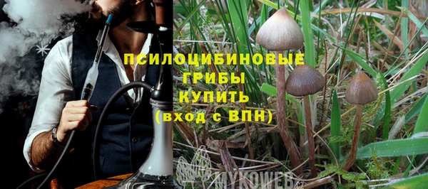 твердый Алзамай
