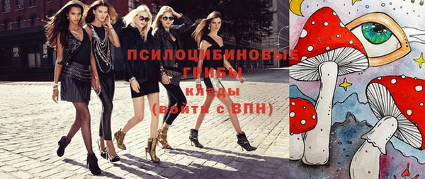 Альфа ПВП Абаза