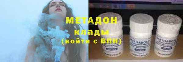 прущие грибы Абинск