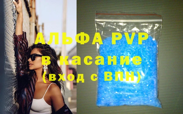 прущие грибы Абинск